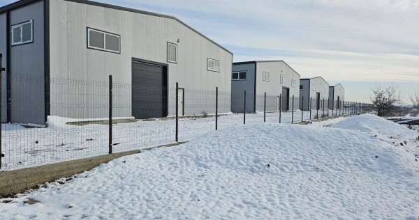 Hale noi 2026 AFUMATI ( Moara Domneasca ) 2300 Euro