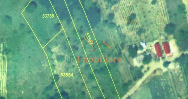 TEREN EXTRAVILAN | 1730 MP | UILEACUL DE CRIS | BIHOR