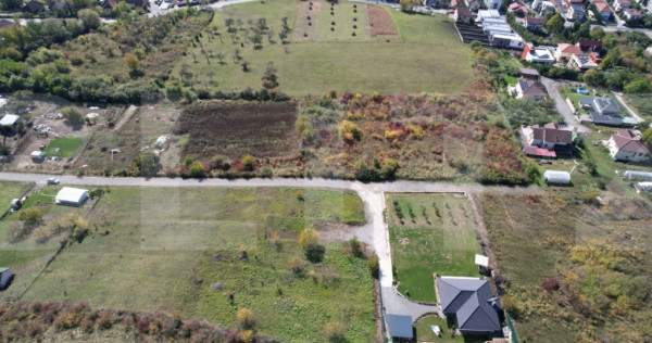 Oportunitate! Teren 6896 mp Borhanci &ndash; Zonă &icirc;n Plină De