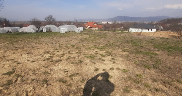 Satu Nou de Jos, 5 ari teren