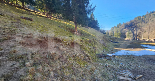 Teren de v&acirc;nzare &ndash; 2.977 mp, intravilan, Scărișoara