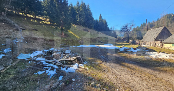 Teren de v&acirc;nzare &ndash; 2.977 mp, intravilan, Scărișoara