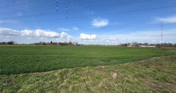 Teren, 18.000 mp, DN -Stația Meteo spre Valu lu Traian