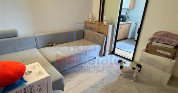 Garsoniera zona Alexandru cel Bun