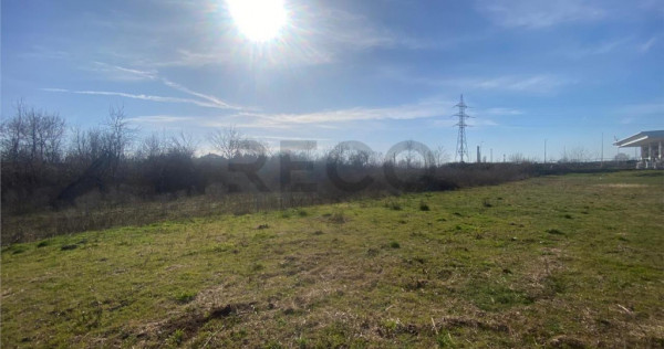 RECO teren extravilan 1011mp Episcopia