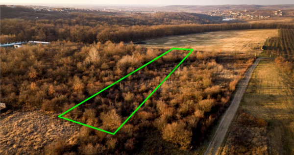 Reco Teren intravilan in Saldabagiu de munte 4333MP