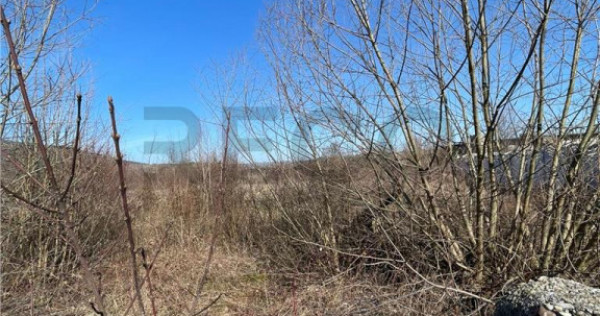 RECO Teren cu Potential Turistic Ridicat