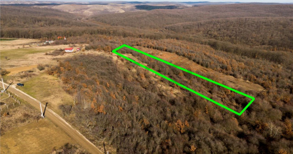 Reco Teren ideal pentru investitii- Saldabagiu de Munte