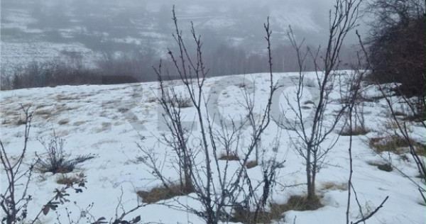 RECO, teren intravilan, Zona Sinteu, Bihor