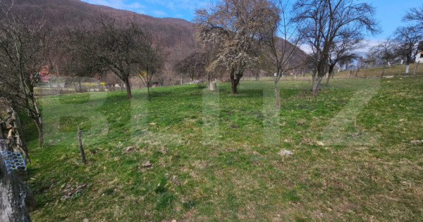 Teren intravilan generos de 4000 mp, cu priveliște montană