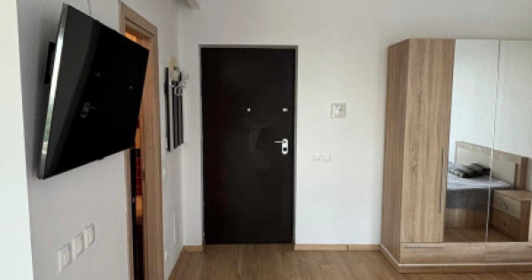 Brancoveanu the park ttneretului