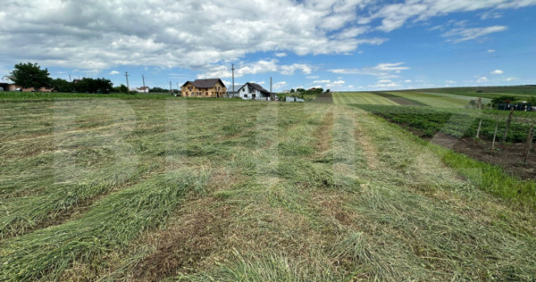 Teren Intravilan , pretabil casa/case , 2000 mp , zona Moar