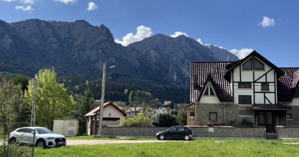 Teren 1407 mp Poiana Tapului. Vedere Bucegi .Tripla Deschide