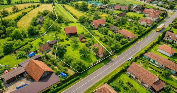 FILM! Oaza ta de liniste pe 4.900mp teren intravilan, Tufala