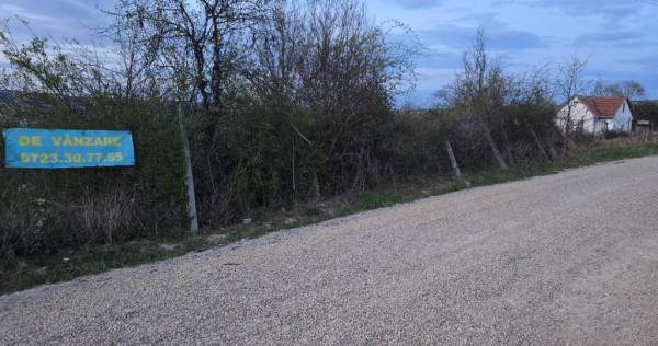 Ter Zona Coline-Raspantii, 1000 mp , utilitati, intre case, gaz