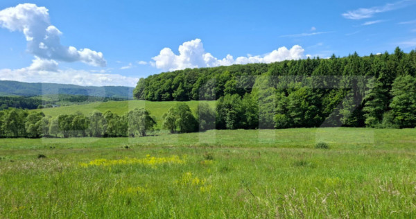 Teren Brasov , Dumbravita ,intravilan 680 mp pretabil casa s