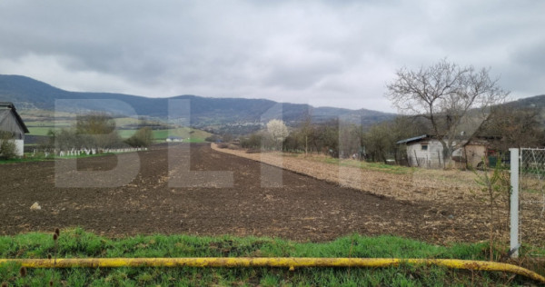 Teren intravilan, 1,6 hectare, acces drum, utilități compl