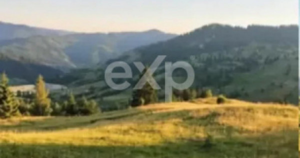 Teren Budeasa cu iesire la lac