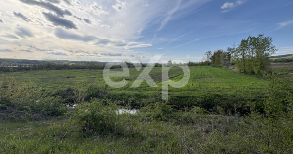 Teren Budeasa cu iesire la lac