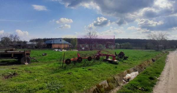 DE VANZARE TEREN 3400 MP IN SAT PODU ILFOVAT / COM BUTURU...