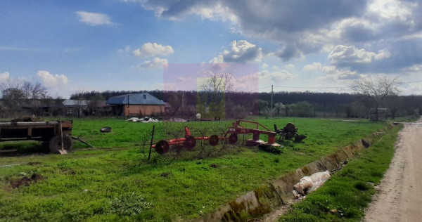 DE VANZARE TEREN 3400 MP IN SAT PODU ILFOVAT / COM BUTURU...
