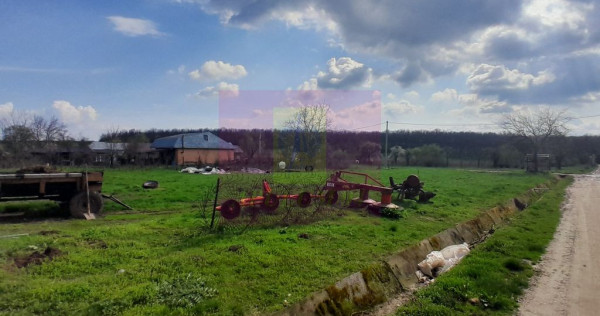 GIURGIU - SE VINDE TEREN 3400 MP IN SAT PODU ILFOVATULUI