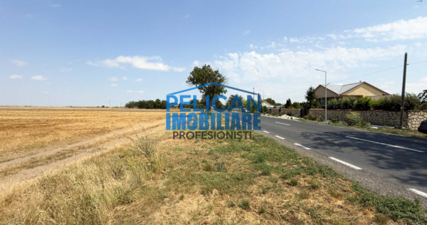 Teren intravilan M. Kogalniceanu, 4000MP, la drumul national