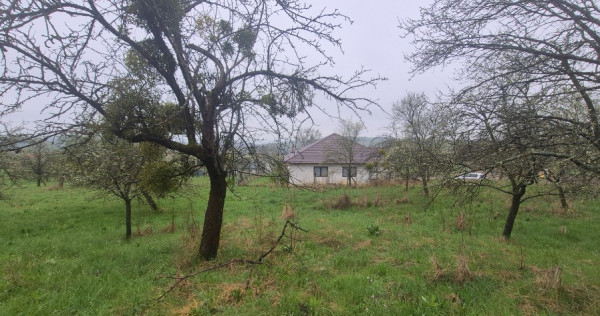 Grosi, zona Primariei, 10 ari teren