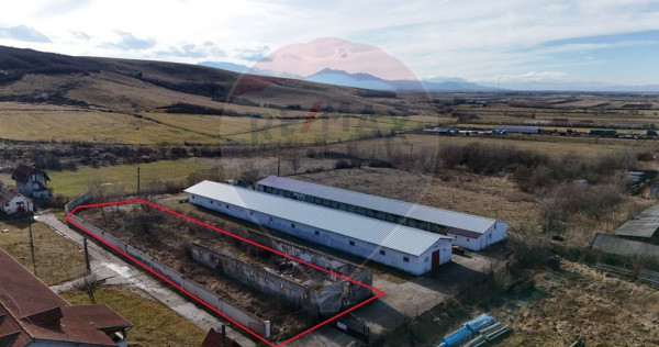 Teren pentru Hală Industrială | 1.729 mp | Utilități ...