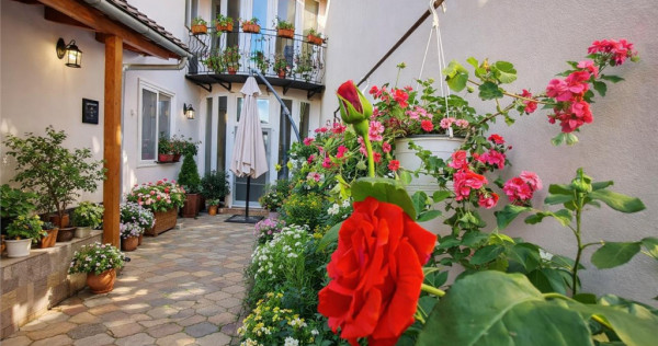 Pe incantare florala, casa cu 5 camere, curte individuala -