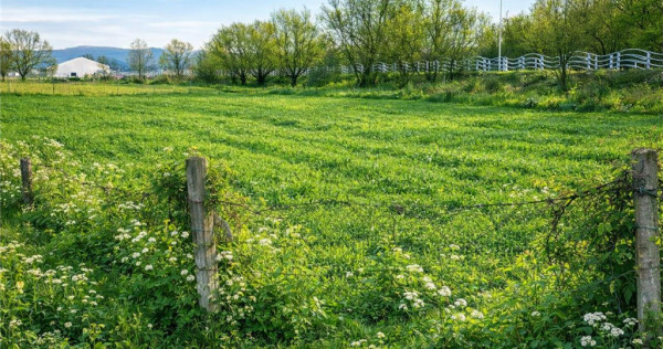 Teren extravilan 1450 mp, din care curti constructii 312 mp,