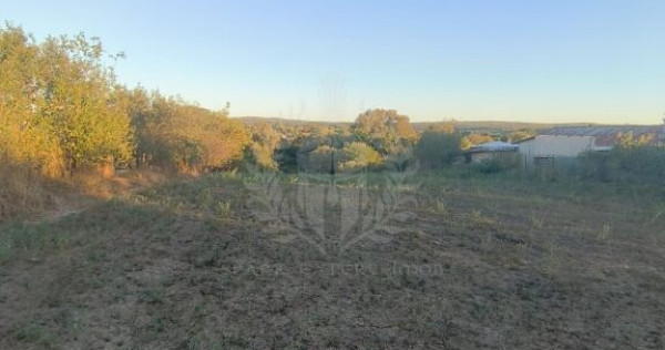 TEREN INTRAVILAN PLOPU//3000 MP