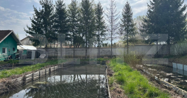 Investitie: Teren constructii si pastravarie - Prejmer, Bras