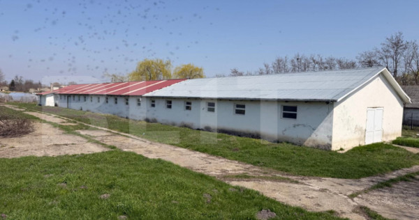 Oportunitate de investitie!!! Ferma de animale( fost CAP), 5