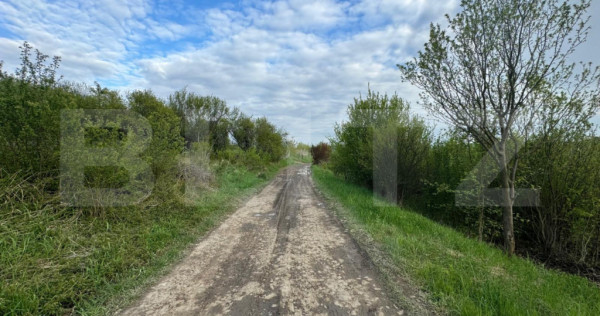 Teren extravilan de vanzare, 2.670 mp, Bistrita