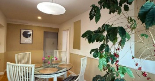 Apartament 4 camere etaj 3 Han