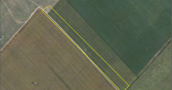 Teren de v&acirc;nzare &ndash; 25.000 mp, Pantelimon, &icirc;ntre cele dou