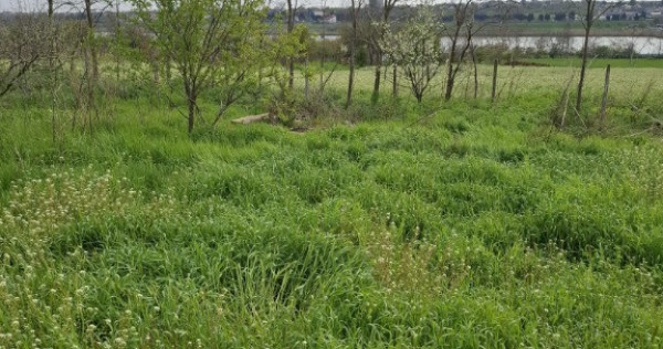 Teren intravilan Tuzla, oportunitate excelentă 2500mp