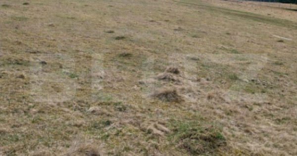 Teren intravilan, 4000 mp, Vatra Dornei