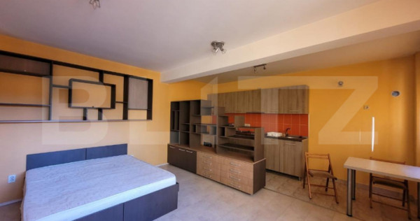 Garsoniera, 35 mp, la casa, zona BT Arena