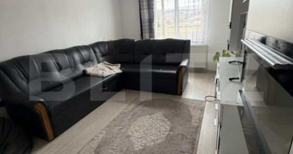 Apartament mobilat/utilat, 46 m2 - Lechinta