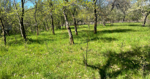 Teren intravilan, Comuna Corbi, Jud. Argeș, toarte utilitat