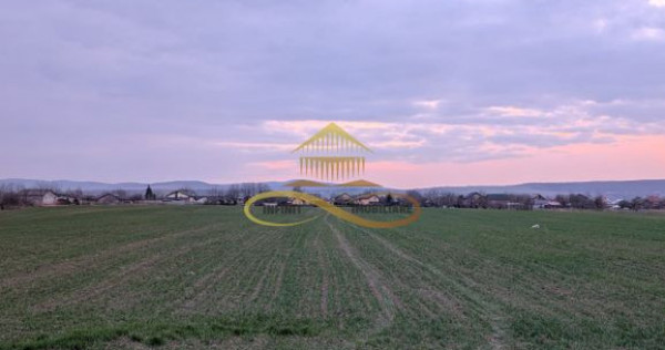 TEREN INTRAVILAN IN LILIECI, BACAU