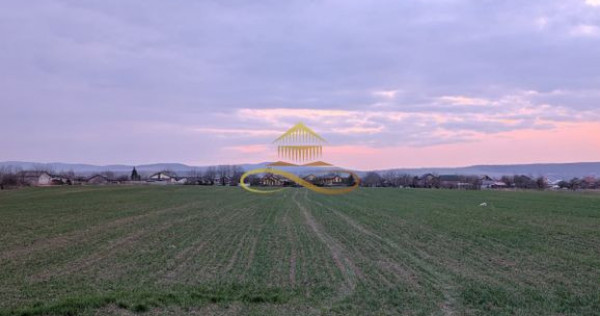 TEREN INTRAVILAN IN LILIECI, BACAU
