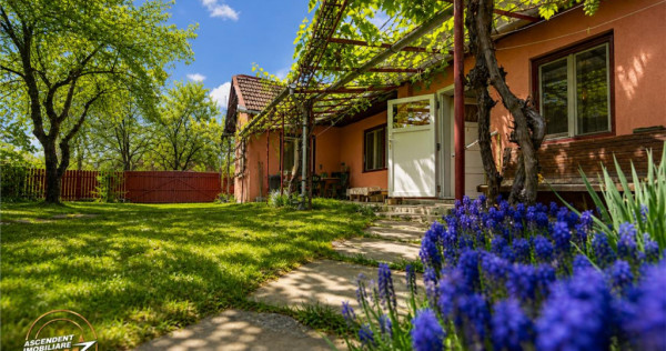 Casa in inima statiunii Covasna, cu gradina, vie si pomi fru