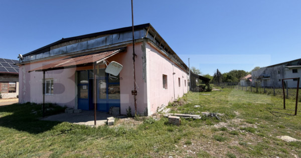 Spatiu industial 800 mp si curte 3800 mp, zona Pestisani