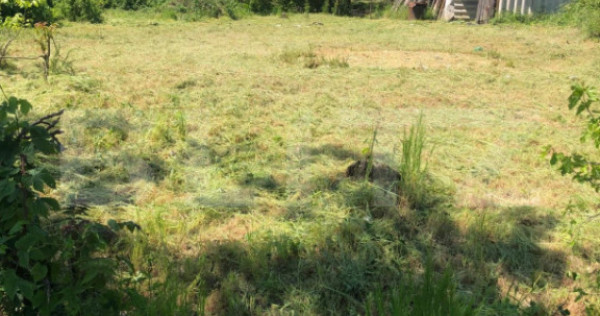 Teren intravilan, 600 mp, zona Runcu