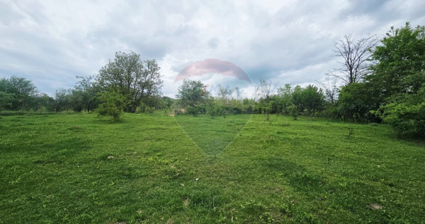Teren 5,350mp Dobreni / Strada Manastirea Horaita