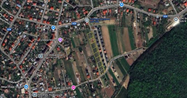 V&acirc;nzare Teren Intravilan &ndash; Snagov
