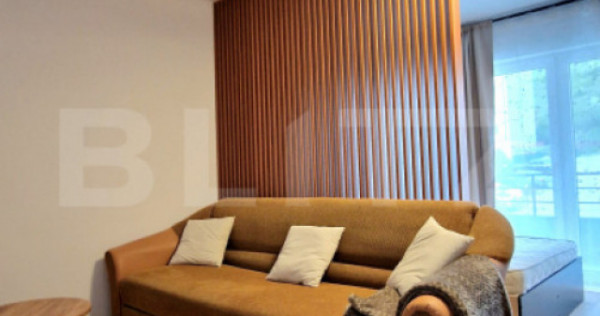 Apartament cu 1/2 camere, renovat complet, modern, Stejarulu
